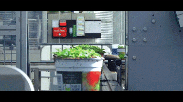 GartenbauWelzel GIF