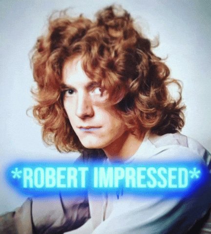 Led Zeppelin GIF