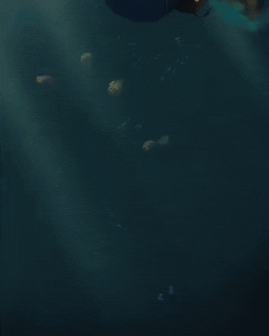 Artwork GIF