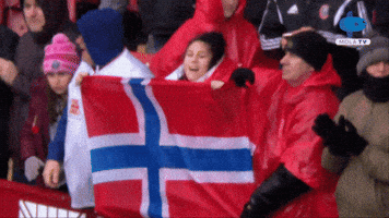 World Cup Flag GIF by DAZN Japan