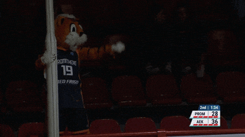 Happy Dance GIF by Basketball Champions League