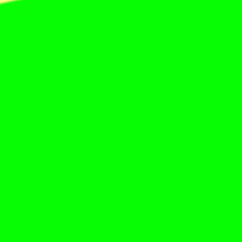 GIF by Grüne Sachsen-Anhalt