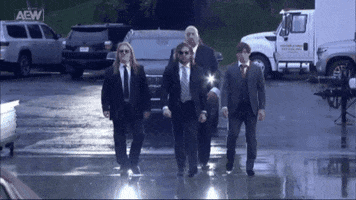 Aew GIF