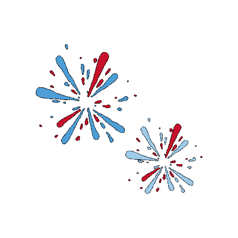 Fireworks Liberty Sticker by marie birdie sport