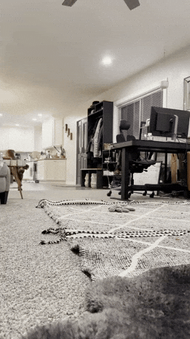 Jump What GIF by SnugLug