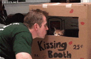 Image result for kissing booth gif