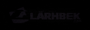 GIF by Larhbek