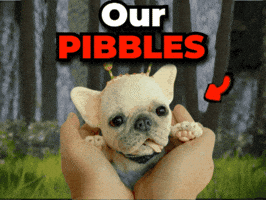 Pibble GIF