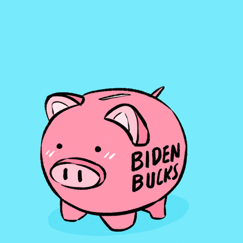Joe Biden Money