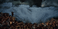 exodus GIF exodus GIF