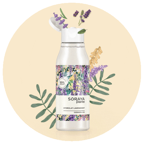 Plante Sticker by soraya_polska