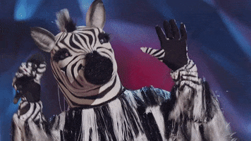 Zebra Raise The Roof GIF by The Masked Dancer