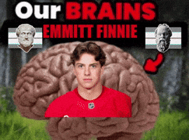 Red Wings Hockey GIF