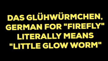 Gluehwuermchen GIF