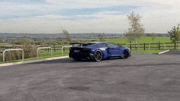 Supercar Sv GIF by PaddlUp