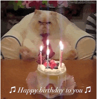 Happy birthday cake cat candles / cats :: birthday cake candles :: sandbox  - JoyReactor