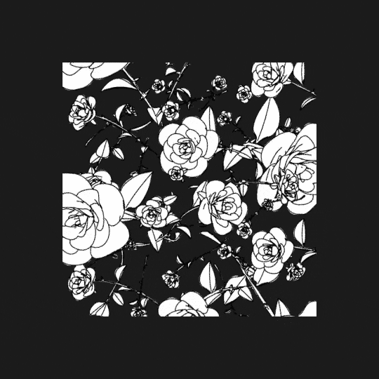 black and white flowers GIF by David Koblesky