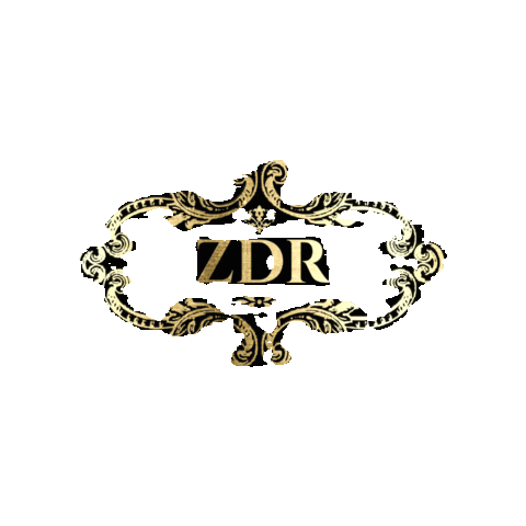 Zdr Sticker by Slink