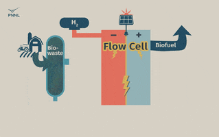 Carbonneutral GIF