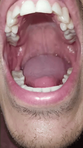 Tongue GIF