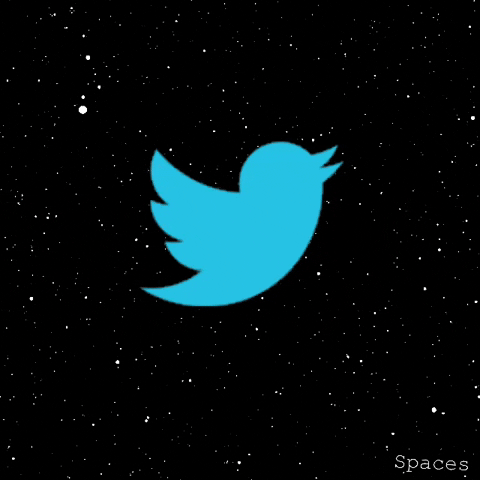 Twitter Spaces GIF by The Kidult Life