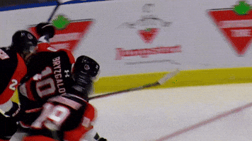 Hockey Slide GIF by Medicine Hat Tigers