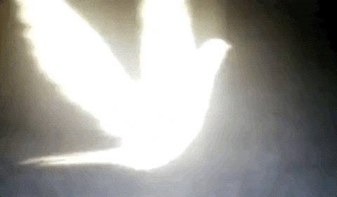 save me animation GIF
