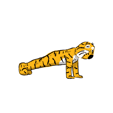 Gameday Sticker by MizzouAlumni