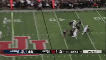 Utah Utes GIF