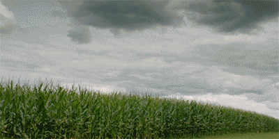 iowa writers workshop interview GIF by Girls on HBO