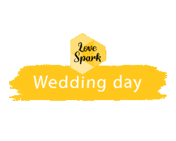 Boda Wedding Day Sticker by SparkVisuals