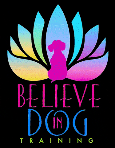 Believer GIF by Believe in Dog Training