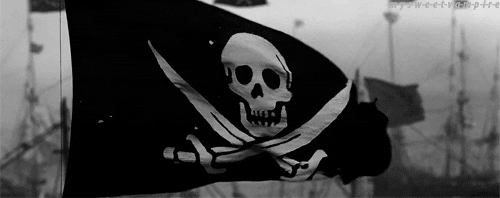   perfect flag pirates pirate flag GIF