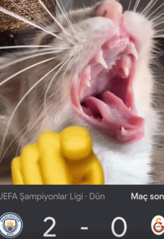 Galatasaray Gs GIF