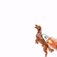 Golden Retriever Dog GIF by Hacker Noon