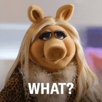 The Muppets What GIF by ABC Network