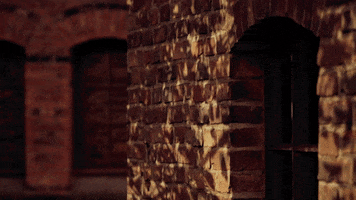 Tree GIF