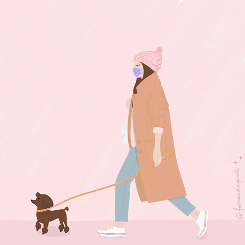 Dog GIF