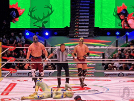 Cmll GIF