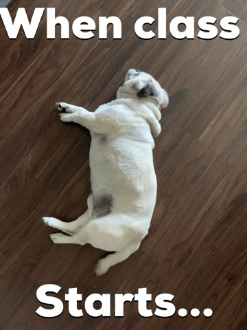 Energia Fitness GIF