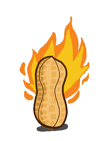 Cascabel Salsa Sticker