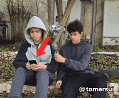 Magnifying Red Arrow GIF