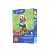 Cookie Sticker by Girl Scouts
