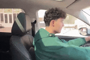 Car Mem GIF