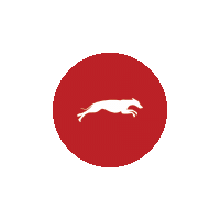 Sticker by Dogfinance