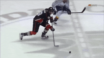 mightydavid hockey nhl anaheim ducks bobby ryan GIF