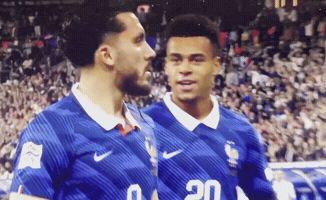 France GIF
