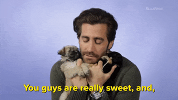 Jake Gyllenhaal Dog GIF by BuzzFeed