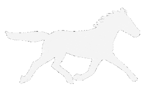 Chinese New Year Good Luck Sticker by eva pils