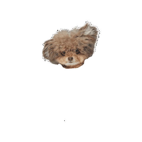 Mojo Sticker by Chara